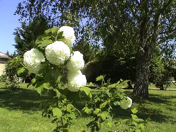 Jardin du Chizé